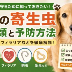 犬の寄生虫を徹底解説！回虫・フィラリアなど種類と予防方法まとめ