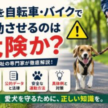 犬を自転車・バイクで運動させるのは危険？獣医師も警告する動物福祉の真実