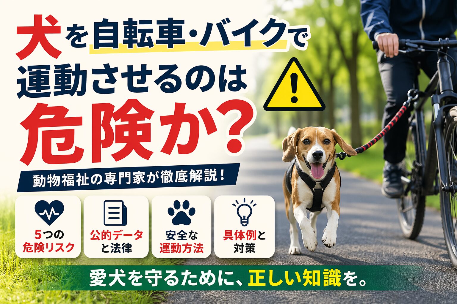 犬を自転車・バイクで運動させるのは危険？