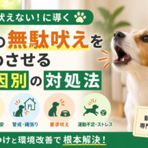 犬の無駄吠えをやめさせる原因別の対処法｜動物福祉の視点から徹底解説
