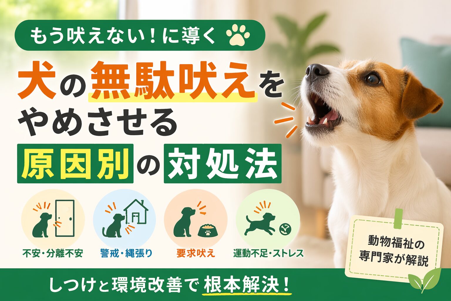 犬の無駄吠えをやめさせる原因別の対処法