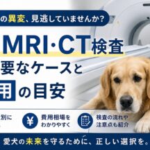 犬のMRI・CT検査が必要なケースと費用の目安｜愛犬を守るために知っておきたいこと