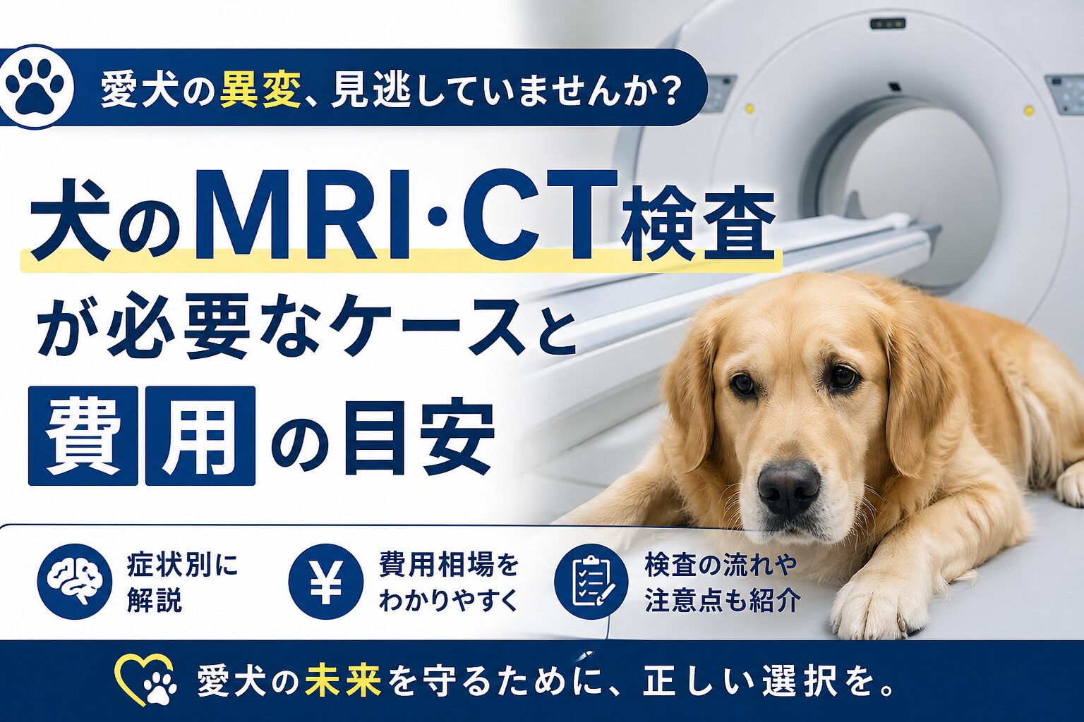 犬のMRI・CT検査が必要なケースと費用の目安