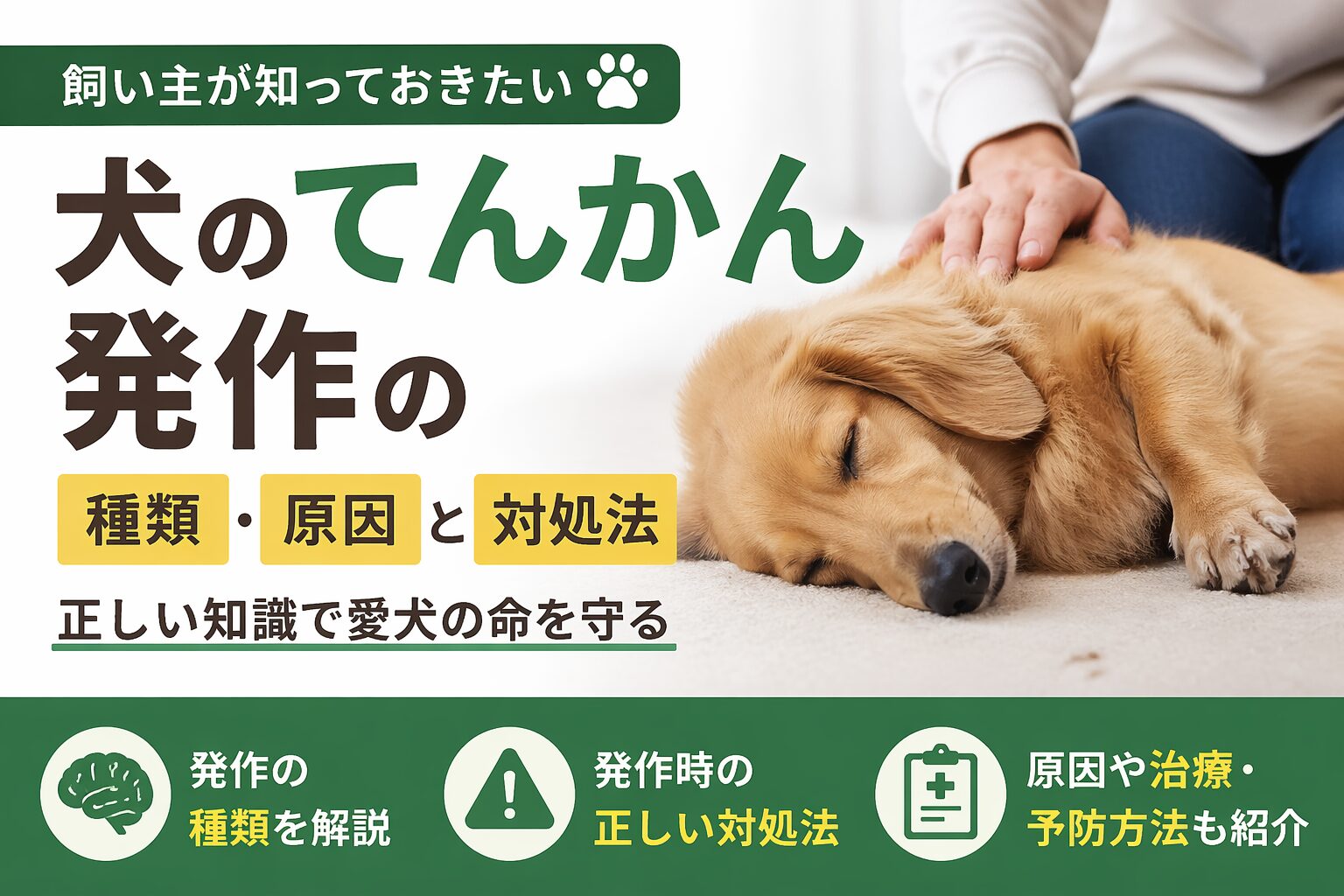 犬のてんかん発作の種類・原因と発作時の対処法