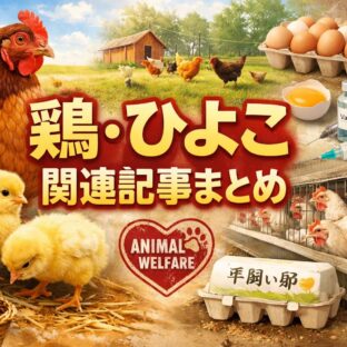 鶏・ひよこ関連記事まとめ｜飼い方・卵・平飼い・動物福祉まで総合案内