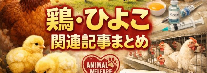 鶏と卵の福祉比較
