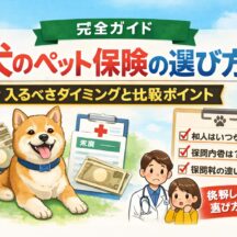 犬のペット保険の選び方完全ガイド｜入るべきタイミングと比較ポイントを徹底解説