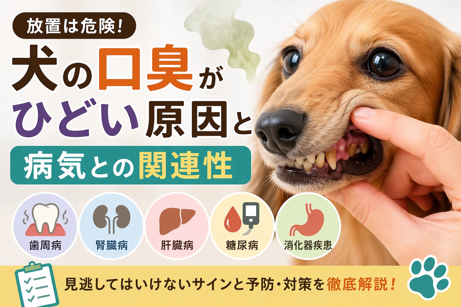 犬の口臭がひどい原因