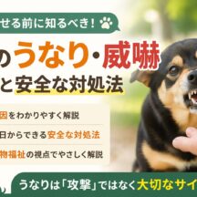 犬のうなり・威嚇の原因と安全な対処法｜動物福祉の視点から徹底解説