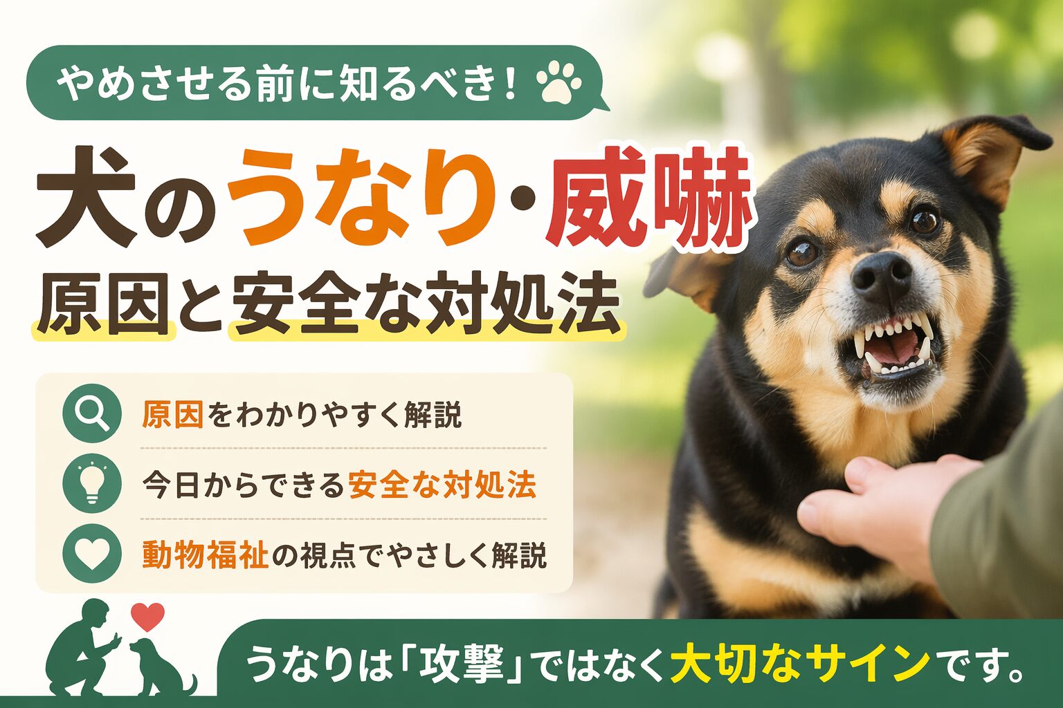 犬のうなり・威嚇の原因と安全な対処法