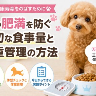 犬の肥満を防ぐ適切な食事量と体重管理の方法｜獣医師監修の完全ガイド
