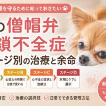 犬の僧帽弁閉鎖不全症｜ステージ別の治療法と余命を獣医師監修で徹底解説