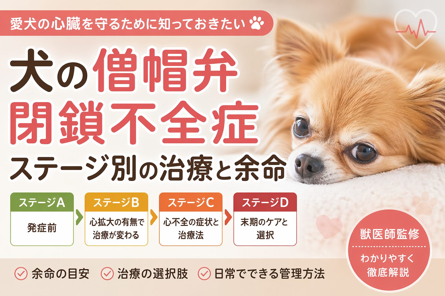 犬の僧帽弁閉鎖不全症