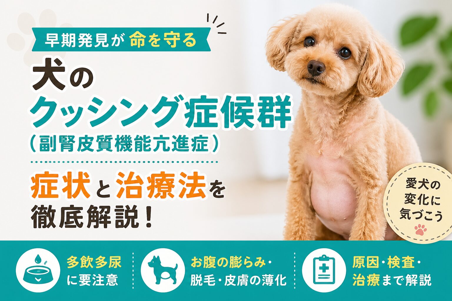 犬のクッシング症候群（副腎皮質機能亢進症）の症状・原因
