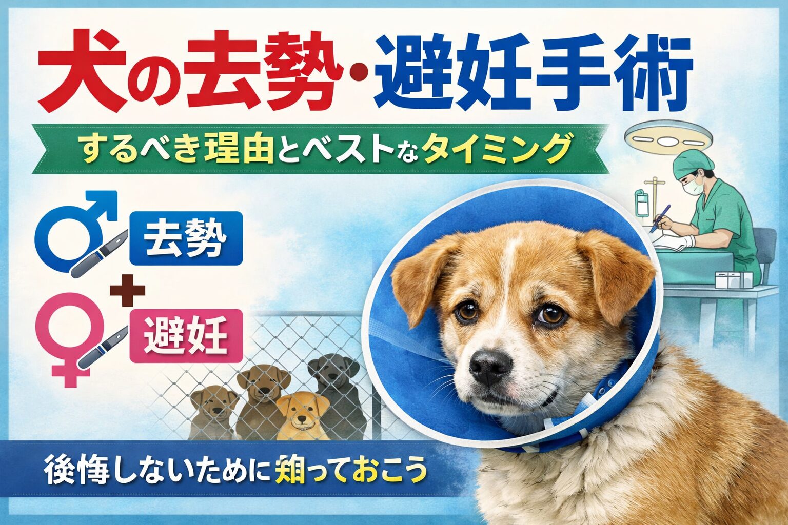 犬の去勢・避妊手術はするべき？