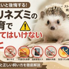 ハリネズミの飼育でやってはいけないこと15選｜動物福祉の視点から徹底解説