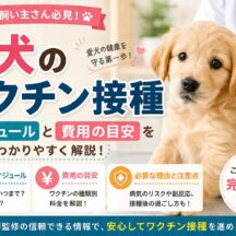 子犬のワクチン接種スケジュールと費用の目安｜獣医師監修・完全ガイド2026