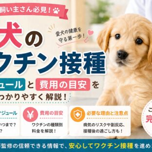 子犬のワクチン接種スケジュールと費用の目安｜獣医師監修・完全ガイド2026
