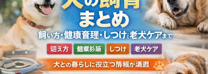 犬の飼育とケアガイドまとめ