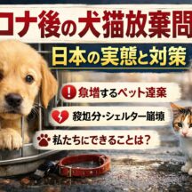 コロナ後の犬猫放棄問題——日本の実態と、私たちにできる対策を徹底解説