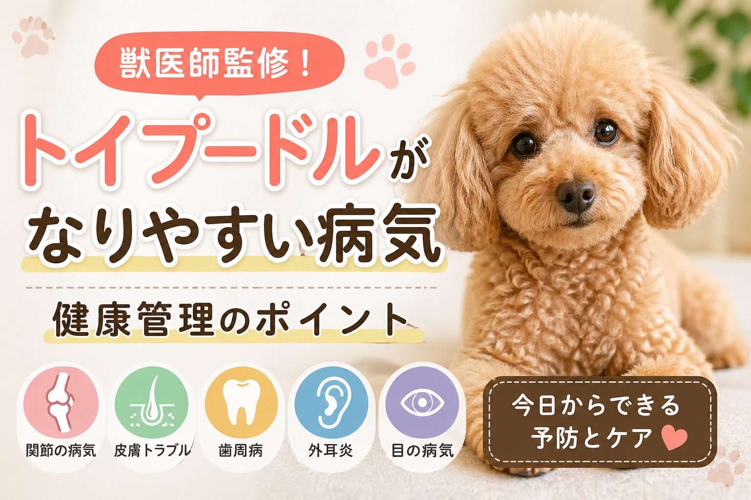 トイプードルがなりやすい病気と健康管理