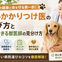 犬のかかりつけ医の選び方と信頼できる獣医師の見分け方【動物福祉の専門家が解説】