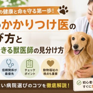 犬のかかりつけ医の選び方と信頼できる獣医師の見分け方【動物福祉の専門家が解説】