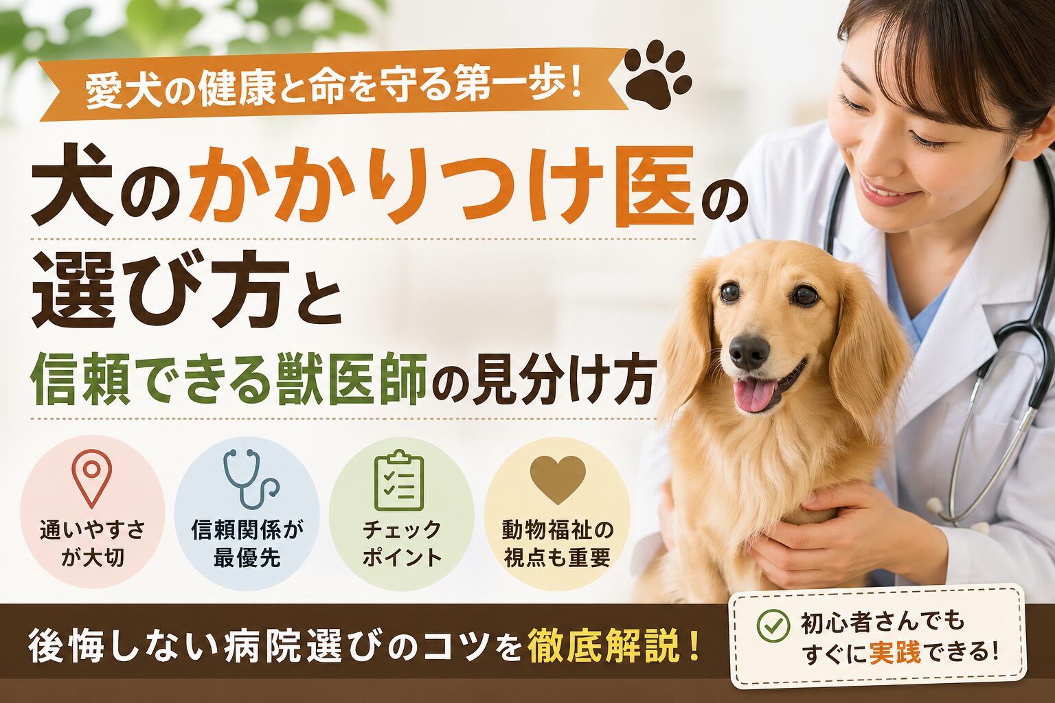 犬のかかりつけ医の選び方