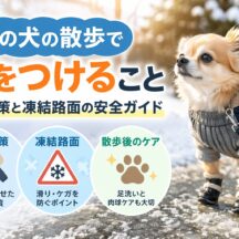 冬の犬の散歩で気をつけること完全ガイド｜防寒対策から凍結路面の危険まで徹底解説