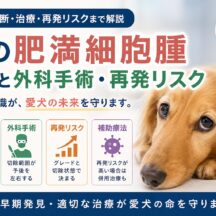 犬の肥満細胞腫とは？特徴・外科手術・再発リスクを獣医師監修レベルで徹底解説