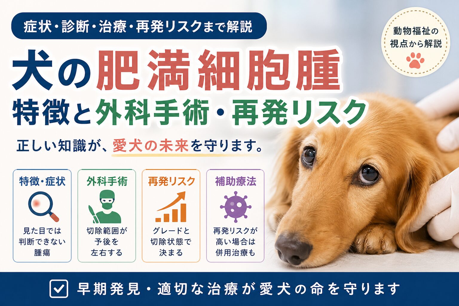 犬の肥満細胞腫とは