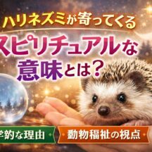 ハリネズミが寄ってくるスピリチュアルな意味とは？動物福祉の視点から読み解く深いメッセージ