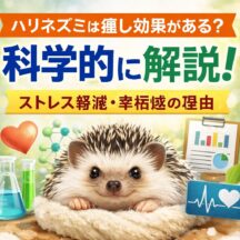 ハリネズミは癒し効果がある？科学的根拠と動物福祉の視点から徹底解説