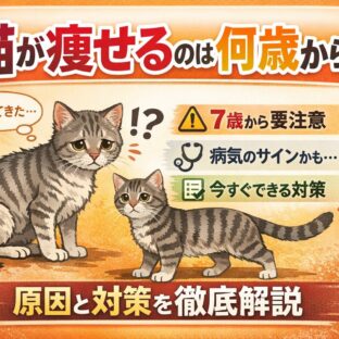 猫が痩せるのは何歳から？年齢別・原因別に獣医師監修で徹底解説