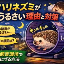 ハリネズミが夜うるさい理由と対策｜専門家が解説する騒音の原因と改善策