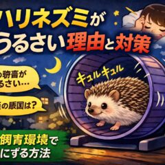 ハリネズミが夜うるさい理由と対策｜専門家が解説する騒音の原因と改善策