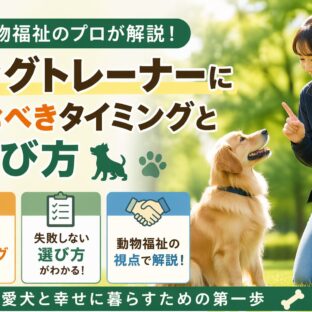 ドッグトレーナーに頼むべきタイミングと選び方｜愛犬のために知っておきたい完全ガイド