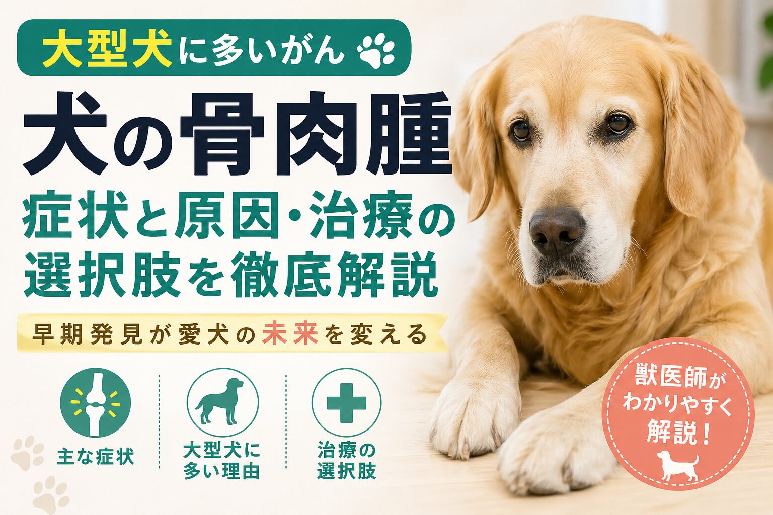 犬の骨肉腫の症状と大型犬に多い理由