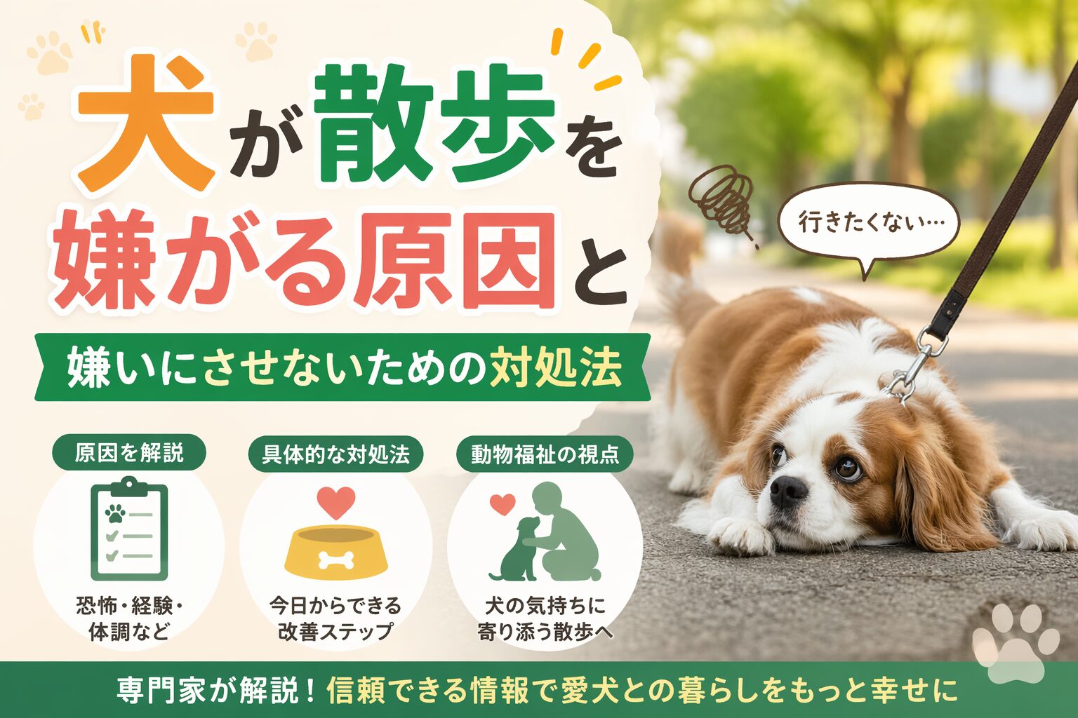 犬が散歩を嫌がる原因と嫌いにさせないための対処法