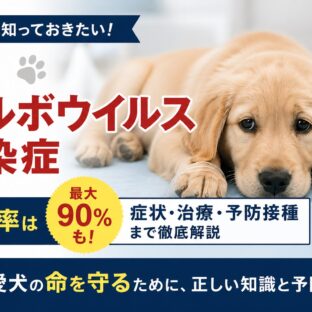 犬のパルボウイルス感染症とは｜症状・致死率・予防接種まで獣医師監修で徹底解説