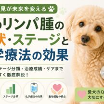 犬のリンパ腫の症状・ステージと化学療法の効果｜愛犬のがんと向き合うための完全ガイド