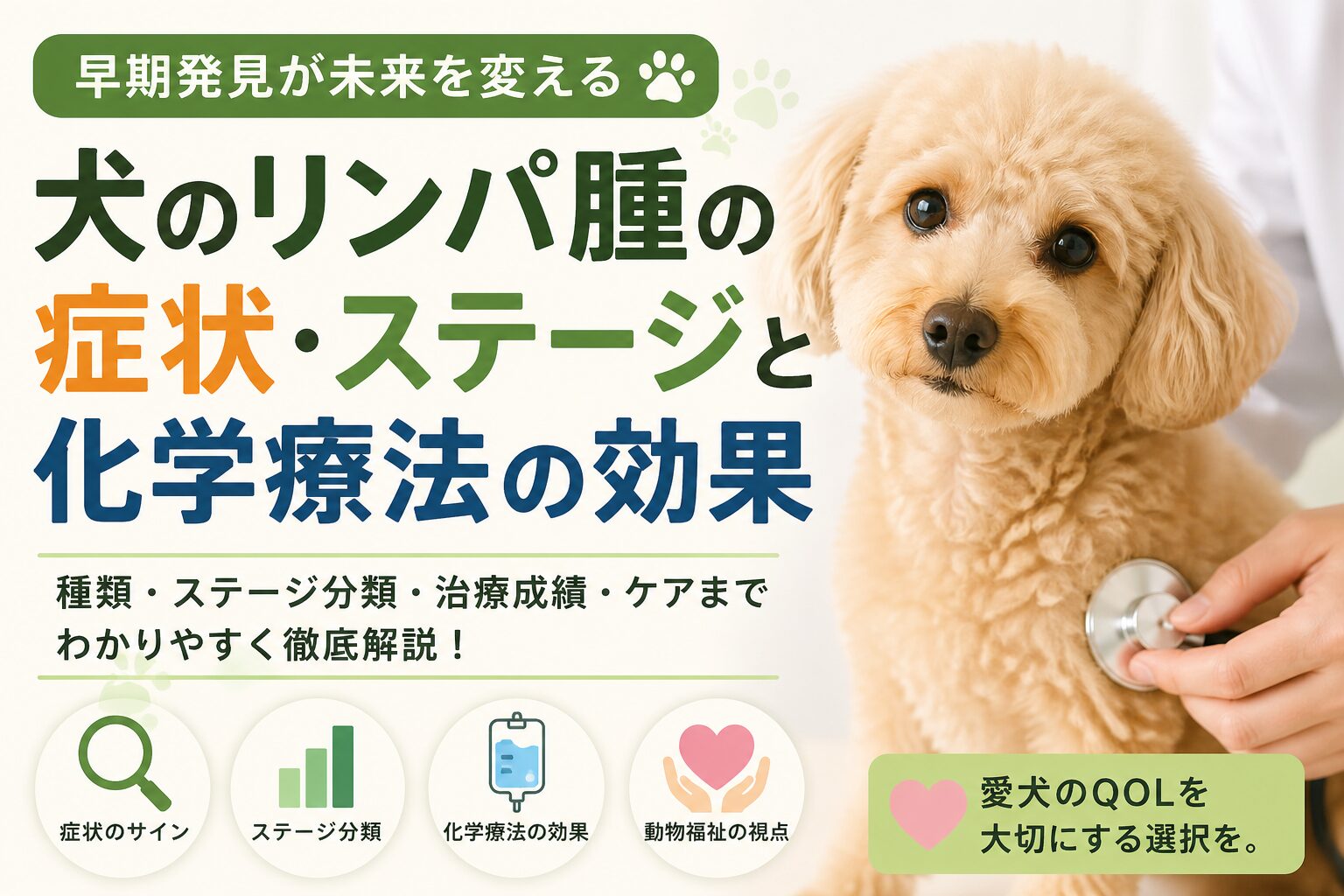 犬のリンパ腫の症状・ステージと化学療法の効果