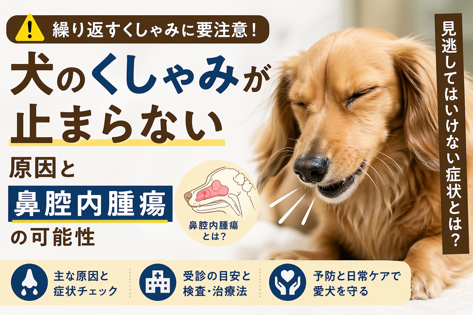 犬のくしゃみが止まらない原因と鼻腔内腫瘍の可能性