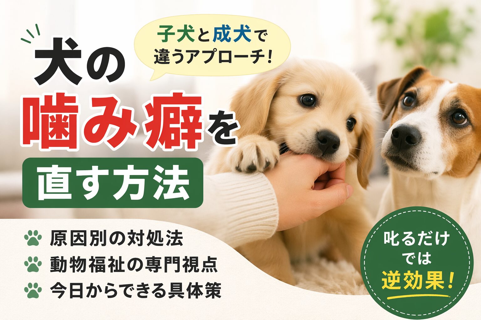 犬の噛み癖を直す方法