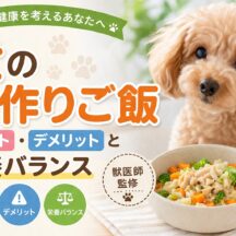犬の手作りご飯のメリット・デメリットと栄養バランス｜獣医師監修の完全ガイド