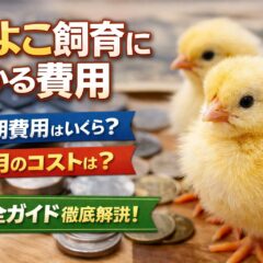 ひよこ飼育にかかる費用を完全解説｜初期費用・月々のコスト・法律まで徹底まとめ