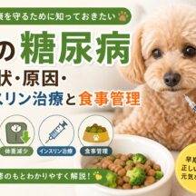 犬の糖尿病の症状・原因・インスリン治療と食事管理｜獣医師監修の完全ガイド
