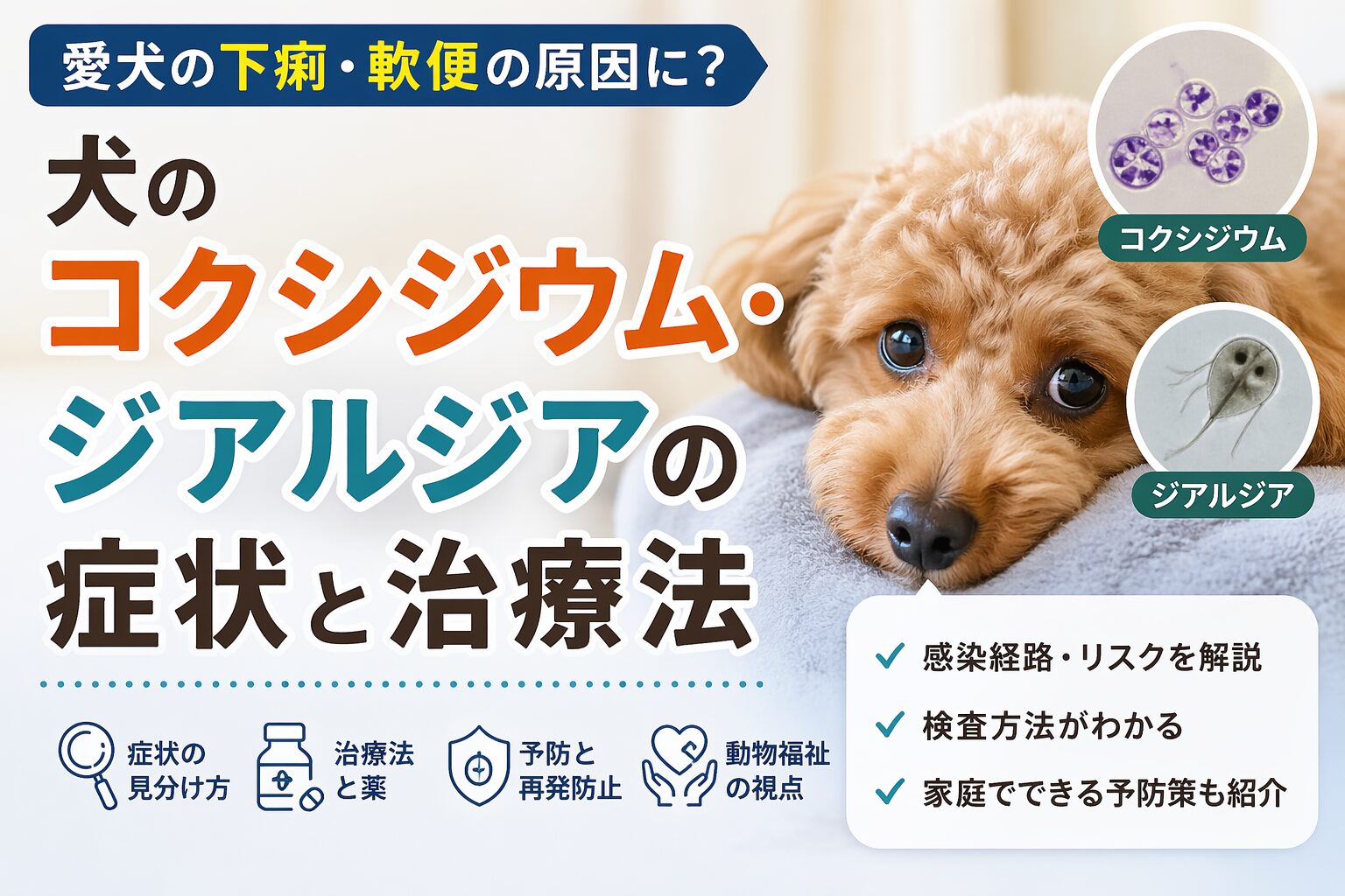 犬のコクシジウム・ジアルジア完全ガイド
