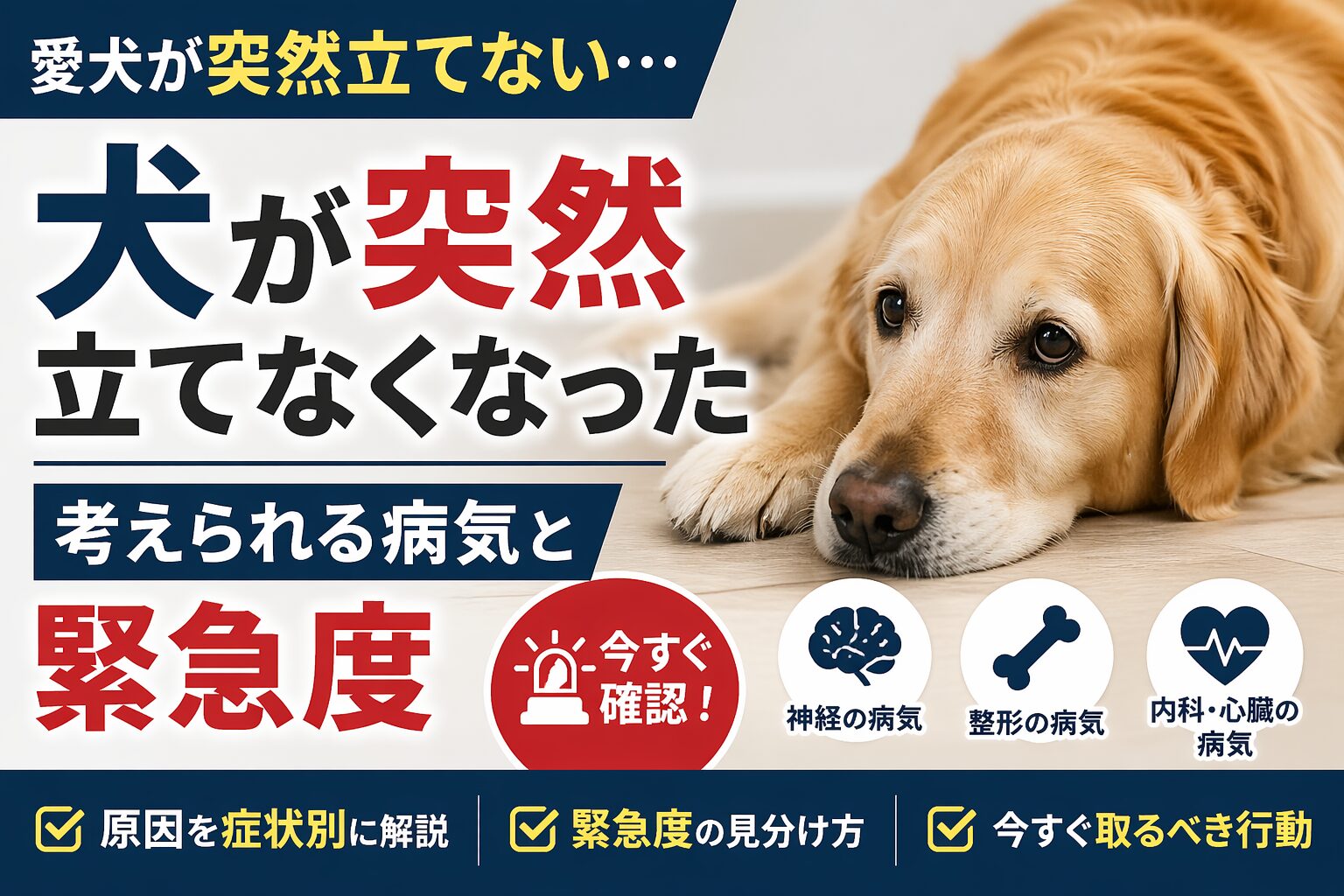 犬が突然立てなくなった