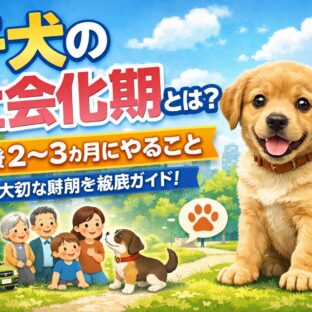 子犬の社会化期とは何か｜生後2〜3ヶ月にやること完全ガイド【動物福祉の視点から】